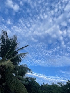 JPEG image