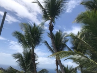 JPEG image
