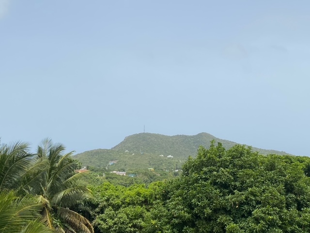 image1.jpeg