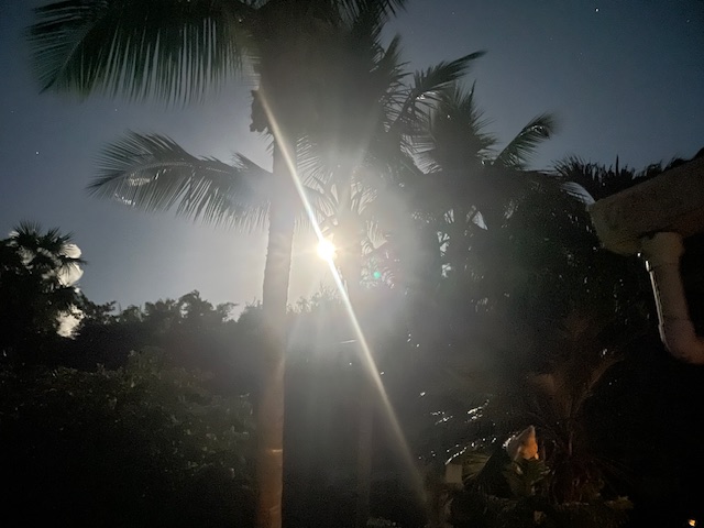JPEG image