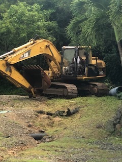 JPEG image