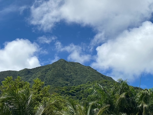 image0.jpeg