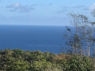 JPEG image