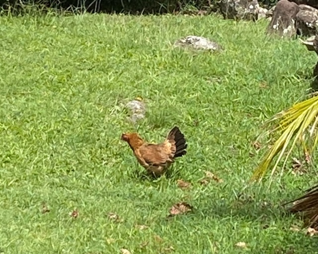 image2.jpeg