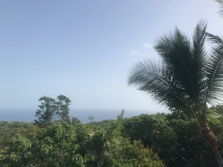 JPEG image