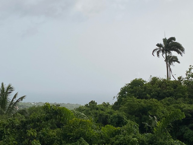 image1.jpeg