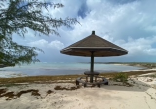 JPEG image
