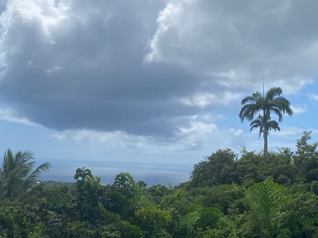 image2.jpeg