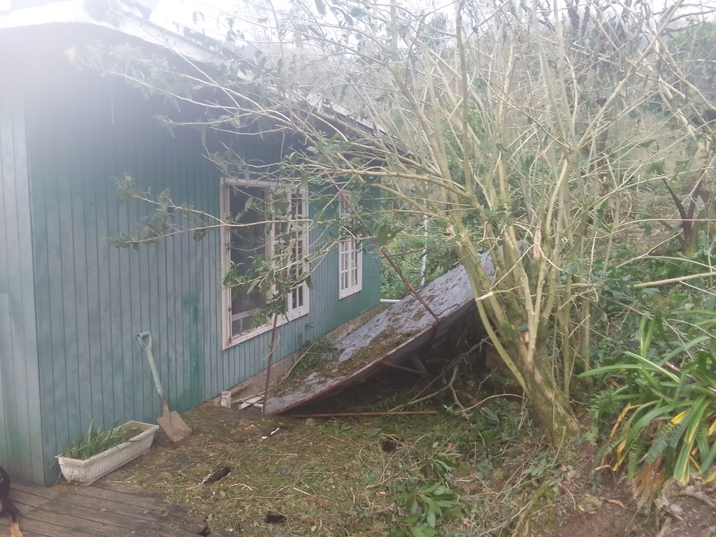 IMG_20251030_154555.jpg