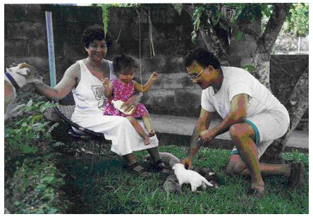 JPEG image