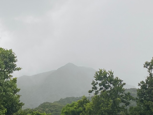 image6.jpeg