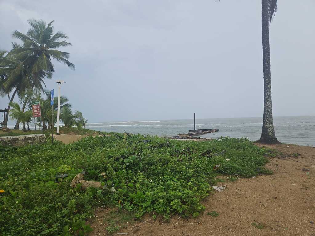 JPEG image