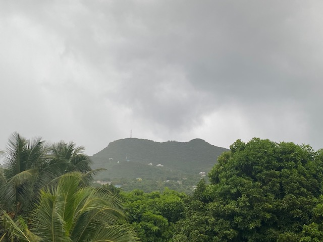 image7.jpeg