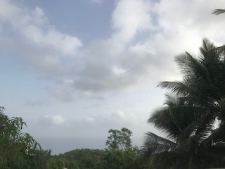 JPEG image