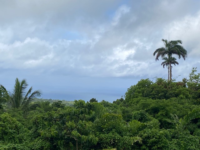 image1.jpeg