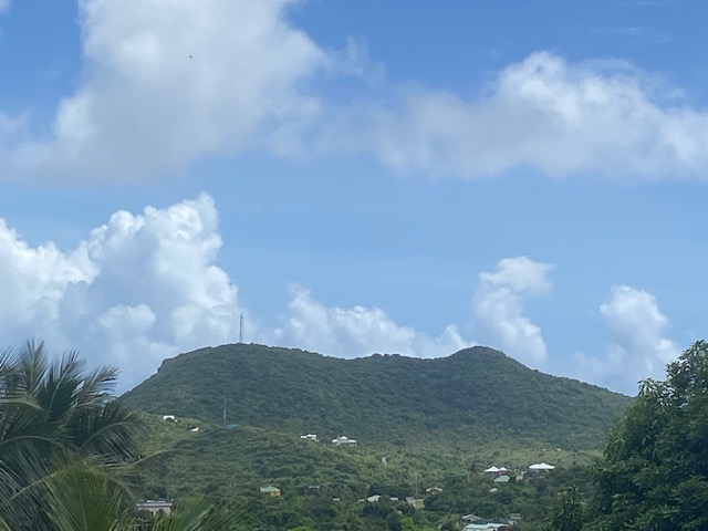 image1.jpeg